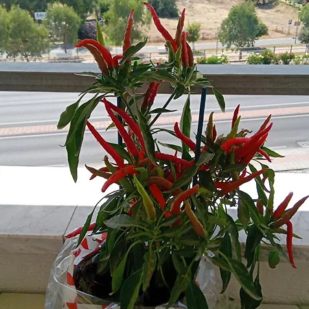 Lunablu Apartman